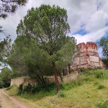 ブイトラゴ・デル・ロソヤPuente Viejo De Buitrago Casa Encinaアパートメント エクステリア 写真