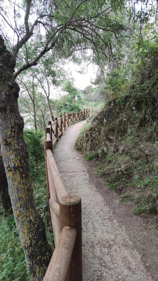 ブイトラゴ・デル・ロソヤPuente Viejo De Buitrago Casa Encinaアパートメント エクステリア 写真